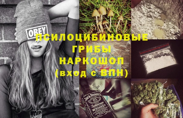 герыч Елабуга