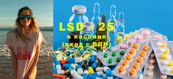 ГАЛЛЮЦИНОГЕННЫЕ ГРИБЫ Елизово