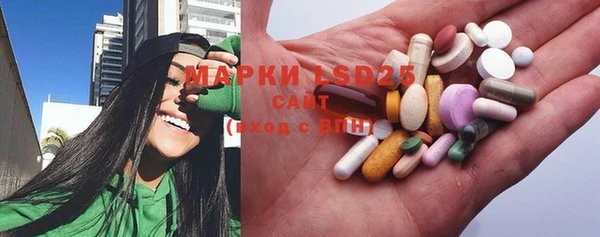 ГАЛЛЮЦИНОГЕННЫЕ ГРИБЫ Елизово