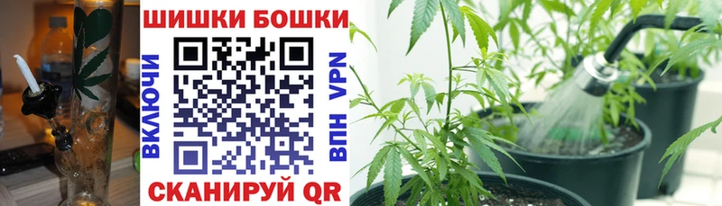 дарнет шоп  Железноводск  Бошки марихуана Amnesia 